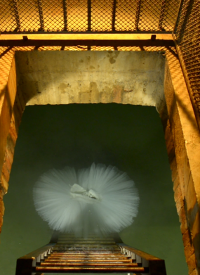 THE LOST LAKE