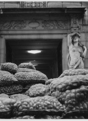 THE SO-CALLED CARYATIDS